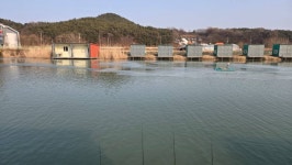 루씨 > 내동낚시터 : 낚시사랑
