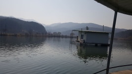 어우실지 유료낚시터 > 어제좌대에서 잡은토종붕어 밤에는바람이심해서 어려웠다고합니다 추위도 심했고 : 낚시사랑