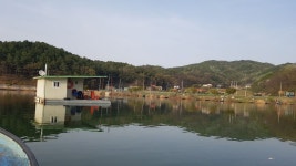 어우실지 유료낚시터 > 어우실지 : 낚시사랑