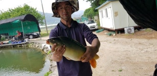 폭포낚시터 유료낚시터 > 🎣향어의 명소 폭포낚시터 4탄 🐟 : 낚시사랑