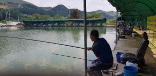 폭포낚시터 유료낚시터 > 🎣향어의 명소 폭포낚시터 17🐟 : 낚시사랑