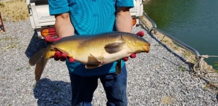 폭포낚시터 유료낚시터 > 🎣향어의 명소 폭포낚시터 17🐟 : 낚시사랑