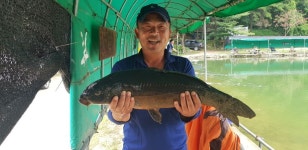 폭포낚시터 유료낚시터 > 🎣향어의 명소 폭포낚시터 25🐟 : 낚시사랑