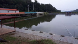 성주리낚시터 유료낚시터 > 성주리낚시터 : 낚시사랑