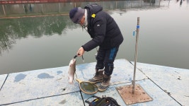 밤밭낚시터 유료낚시터 > [밤밭낚시터] 금토일 붕어 송어 연속 방류합니다. : 낚시사랑