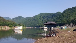 명서낚시터 유료낚시터 > 충주호 명서낚시터 조황 : 낚시사랑