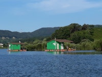돌배좌대 유료낚시터 > 고삼돌배좌대 : 낚시사랑