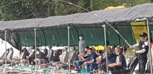 폭포낚시터 유료낚시터 > 기쁘다 송~어 오셨네! 폭포낚시터에 송어가 입성했다! : 낚시사랑