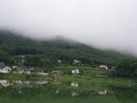 오류내낚시터 유료낚시터 > *큰 애들은 다~ 어디갔지? : 낚시사랑