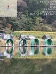 추곡낚시터 유료낚시터 > 조황정보 입니다. : 낚시사랑