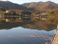 오류내낚시터 유료낚시터 > *진짜 괜찮게 나오내~~ : 낚시사랑