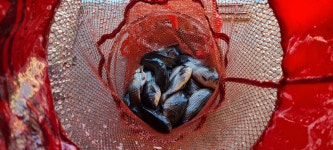 용설2호지 유료낚시터 > 겨울낚시는 추워야제맛 : 낚시사랑