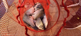 용설2호지 유료낚시터 > 첫조황정보 올립니다~~^^ : 낚시사랑