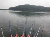 오류내낚시터 유료낚시터 > *조황정보* : 낚시사랑