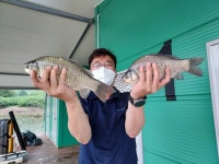 돌배좌대 유료낚시터 > 줄거운 하루되세요 : 낚시사랑