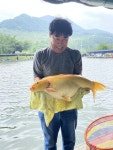 폭포낚시터 유료낚시터 > 7/10의 황금향어가 출몰하는 폭포낚시터 조황 : 낚시사랑
