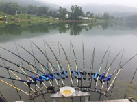 오류내낚시터 유료낚시터 > *뒷힘을 발휘하고 있는 오류내지 : 낚시사랑