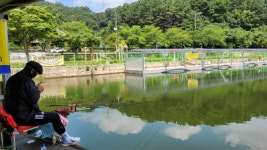 금광호수낚시터 유료낚시터 > 평일 계속 잘 나오네요. : 낚시사랑
