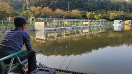 금광호수낚시터 유료낚시터 > 현시간추가방류 완료.잘 나오고 있습니다. : 낚시사랑