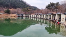 도장골낚시터 유료낚시터 > 청정지역 힐링이되는 도장골낚시터소식 : 낚시사랑