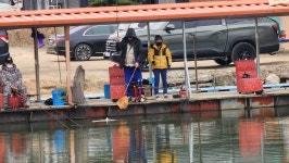 밤밭낚시터 유료낚시터 > 밤밭낚시터 금요일 붕어대박 대박 : 낚시사랑