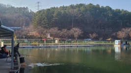 금광호수낚시터 유료낚시터 > 4월9일 정식개장.조황사진. : 낚시사랑