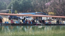 밤밭낚시터 유료낚시터 > 밤밭낚시터 봄붕어 대박 입질 화끈하게 터집니다. : 낚시사랑