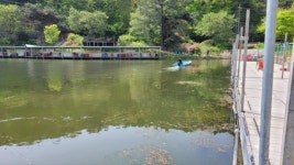 금광호수낚시터 유료낚시터 > 4차 수초제거 완료. : 낚시사랑