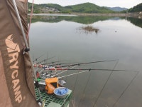 오류내낚시터 유료낚시터 > *조황소식* : 낚시사랑