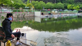 금광호수낚시터 유료낚시터 > 가정의달 이벤트.현시간 방류 완료.조황사진입니다. : 낚시사랑