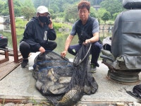 도장골낚시터 유료낚시터 > 돌아온 향어터 도장골낚시터 : 낚시사랑