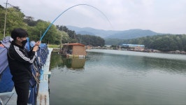 밤밭낚시터 유료낚시터 > 밤밭낚시터 조황 너무 좋아용 5/27 : 낚시사랑