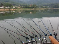 오류내낚시터 유료낚시터 > *조황소식(5/28일 ~ 5/31일) : 낚시사랑