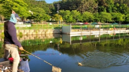 금광호수낚시터 유료낚시터 > 조황사진 입니다. : 낚시사랑