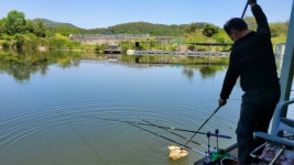 금광호수낚시터 유료낚시터 > 조황사진 입니다. : 낚시사랑