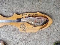 모점낚시터 유료낚시터 > 6/5일자 중층좌대 조황 : 낚시사랑