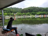 금광호수낚시터 유료낚시터 > 일요일 조황입니다. : 낚시사랑