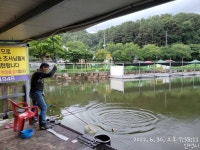 금광호수낚시터 유료낚시터 > 평일 잘 나옵니다. : 낚시사랑