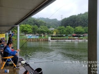 금광호수낚시터 유료낚시터 > 비에도 낚시열정이 대단하네요. : 낚시사랑