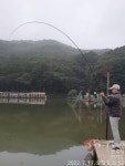 추곡낚시터 유료낚시터 > 조황정보 입니다.~^^ : 낚시사랑