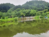 도장골낚시터 유료낚시터 > 힐링낚시 도장골낚시터 소식~ : 낚시사랑