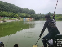 금광호수낚시터 유료낚시터 > 호우속 100수 탄생. : 낚시사랑