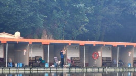 밤밭낚시터 유료낚시터 > 8/19 밤밭 붕어낚시 어깨빠지게 나와요 : 낚시사랑