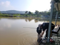 금광호수낚시터 유료낚시터 > 평일조황 입니다. : 낚시사랑