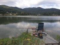 오류내낚시터 유료낚시터 > 속보???간만에 혹부리 나왔시다 : 낚시사랑