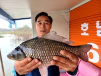 송전지호남좌대 유료낚시터 > 조황정보입니다 : 낚시사랑