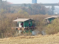 돌배좌대 유료낚시터 > 고삼 돌배좌대 : 낚시사랑