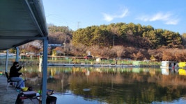 금광호수낚시터 유료낚시터 > 주말조황 입니다. : 낚시사랑