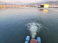 삼성지낚시터 유료낚시터 > 2023년 첫물낚시 개장 : 낚시사랑