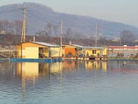 삼성지낚시터 유료낚시터 > 2023년 첫물낚시 개장 : 낚시사랑